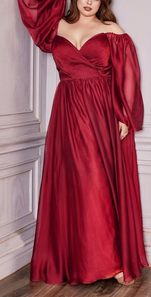 COPY - Plus size formal dress - Picture 6 of 9